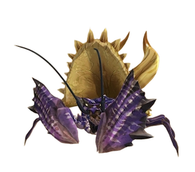 Plum Daimyo Hermitaur